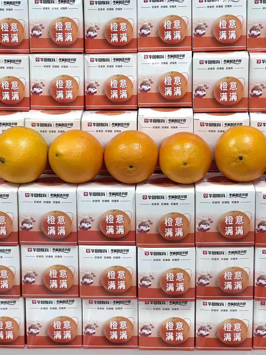 2025国考赣州八中考点