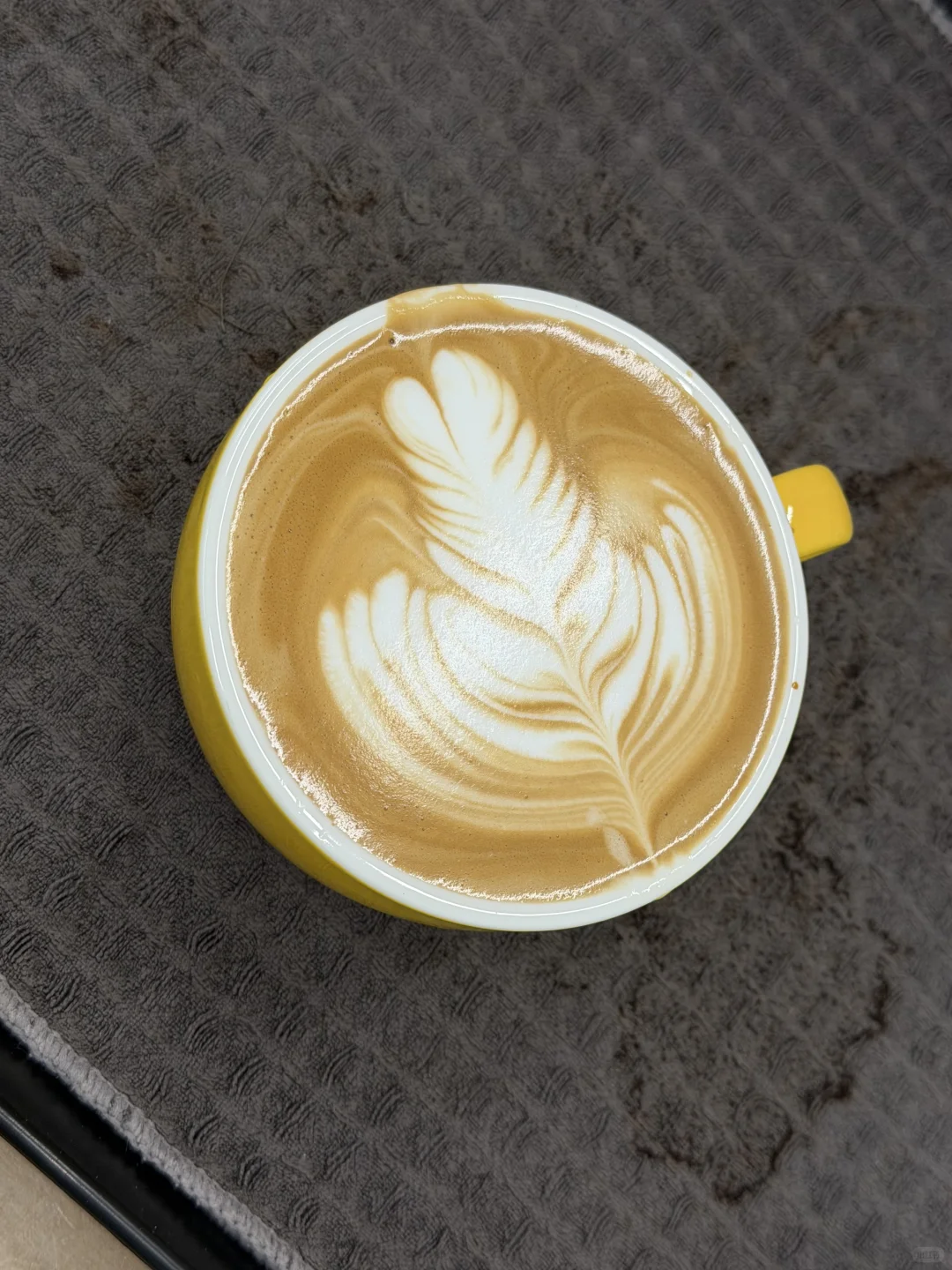 南昌｜咖啡拉花0基础9课时完结效果