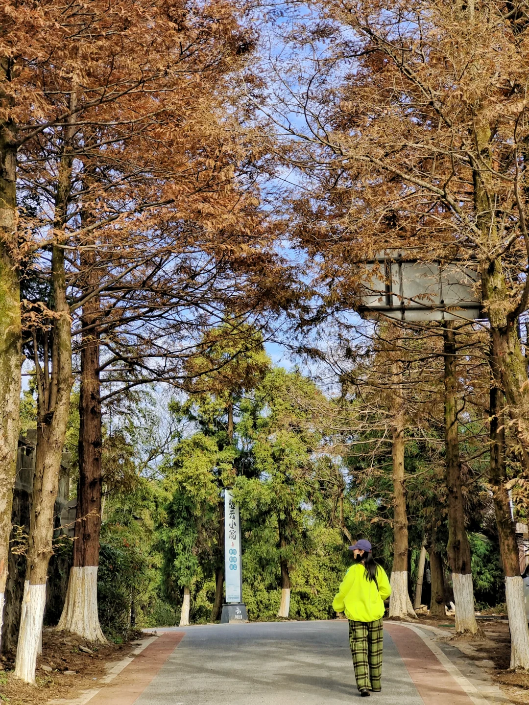 17分钟登上南昌之巅！如何玩转云端制高点？