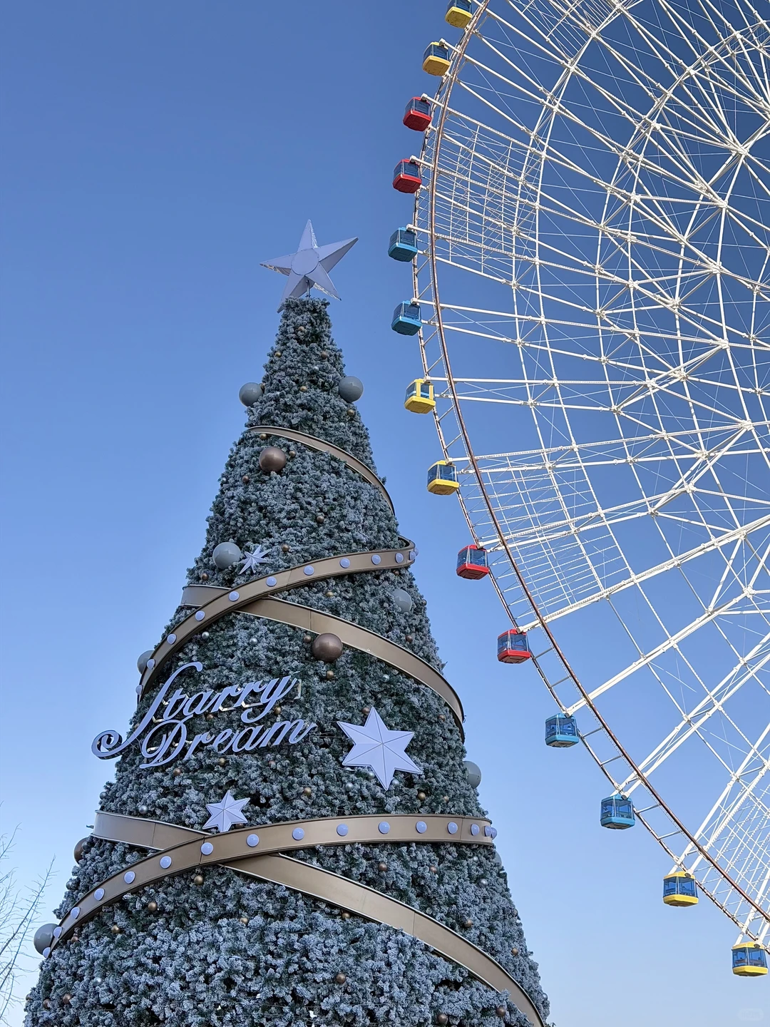 万象城的大大大圣诞树🎄打卡成功