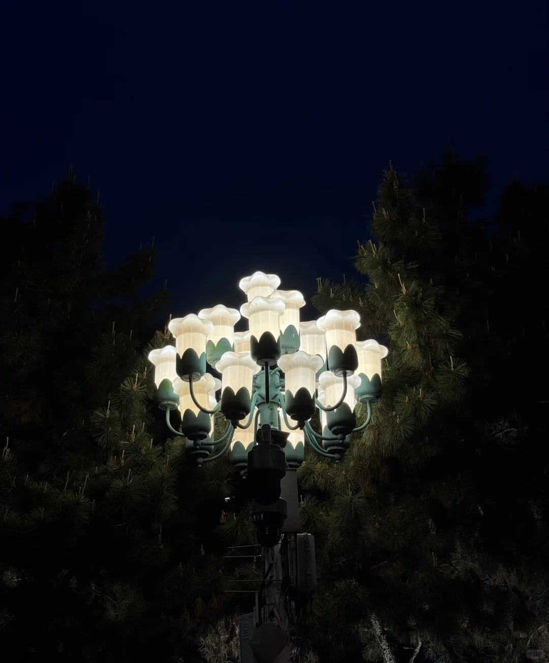 南昌你也太是那个了！！