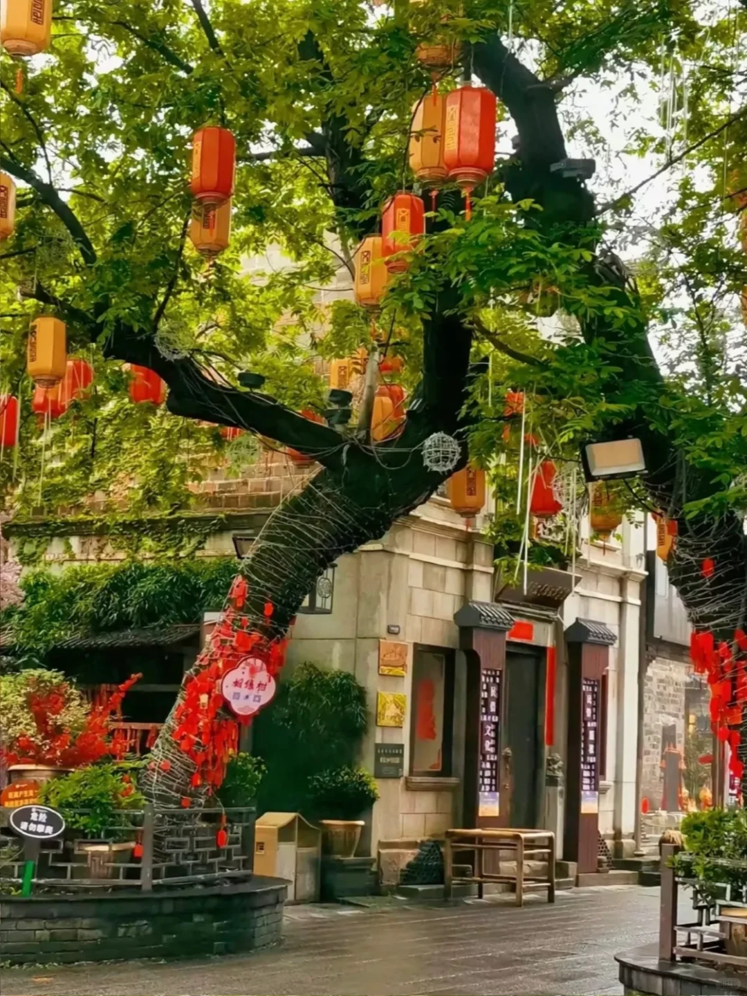 11-12月带爸妈游抚州｜不自驾超省心3日游