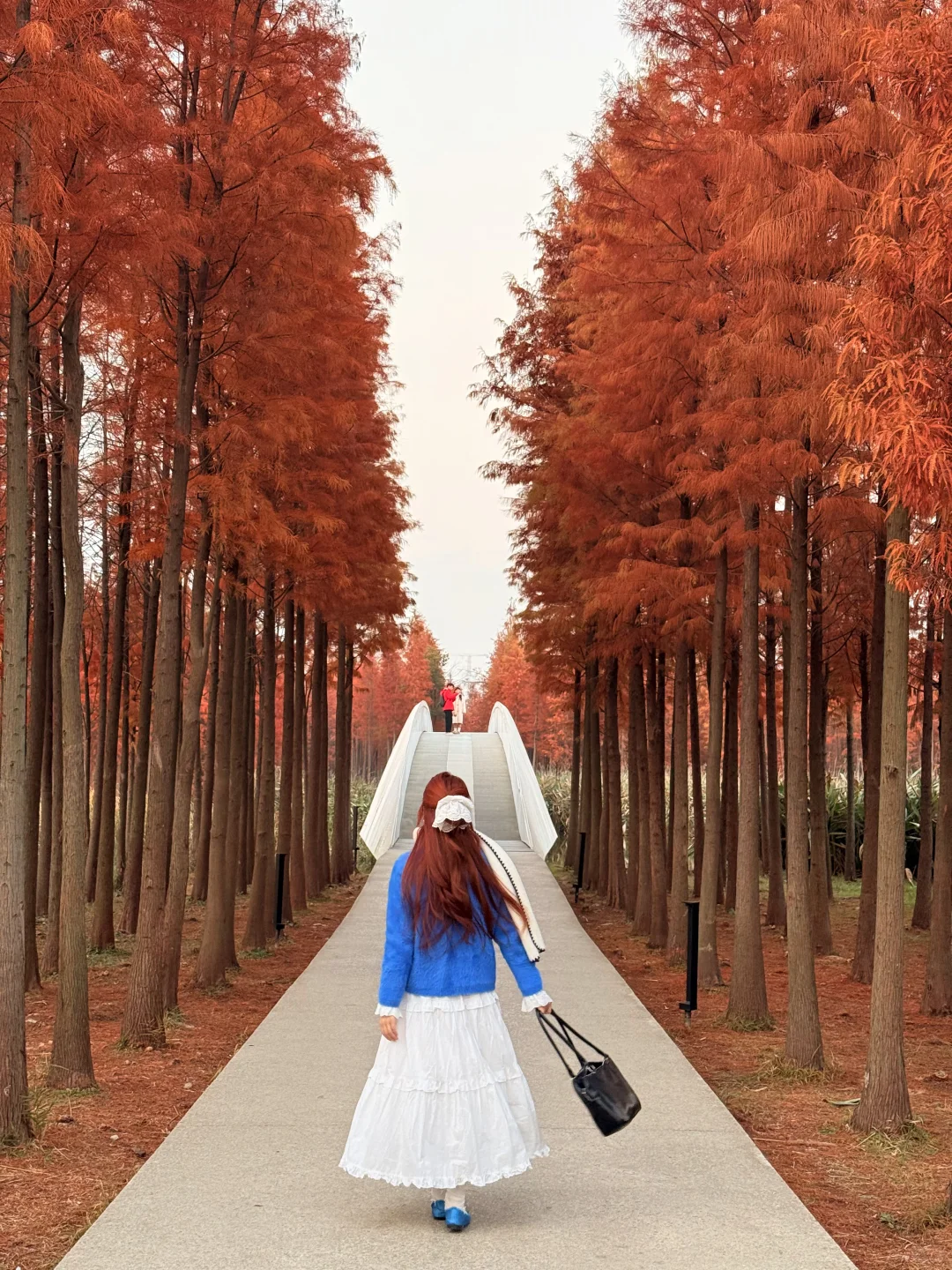 南昌已回。。。真心提醒1月还没出行的🤬🤬