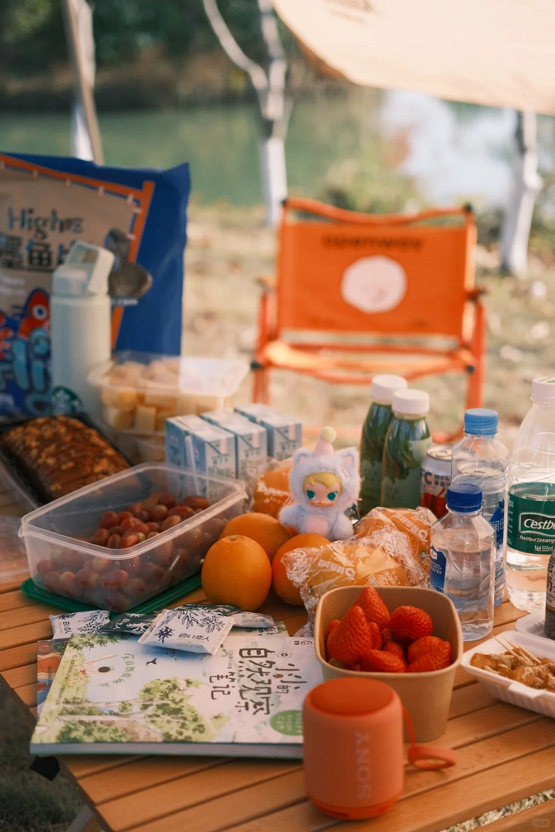 南昌露营 | 寰宇万象湿地公园🏕️