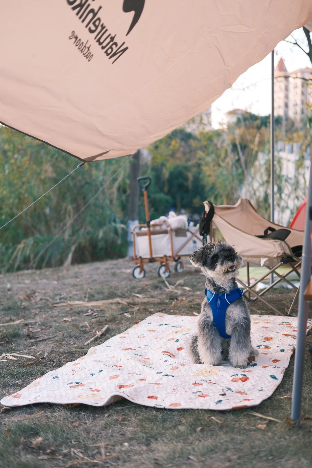 南昌露营 | 寰宇万象湿地公园🏕️