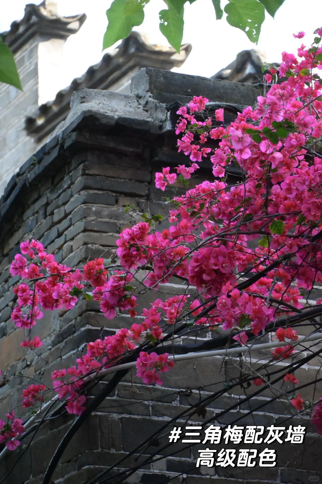 赣州 | 是去过最舒服的小城，2天闲逛攻略