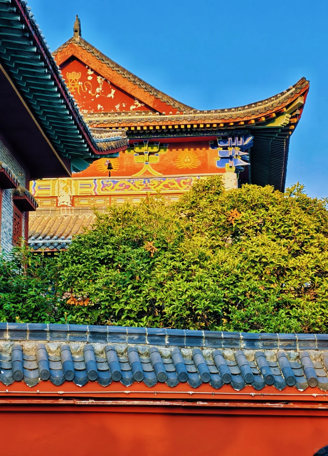 文昌里|抚州文旅天花板！