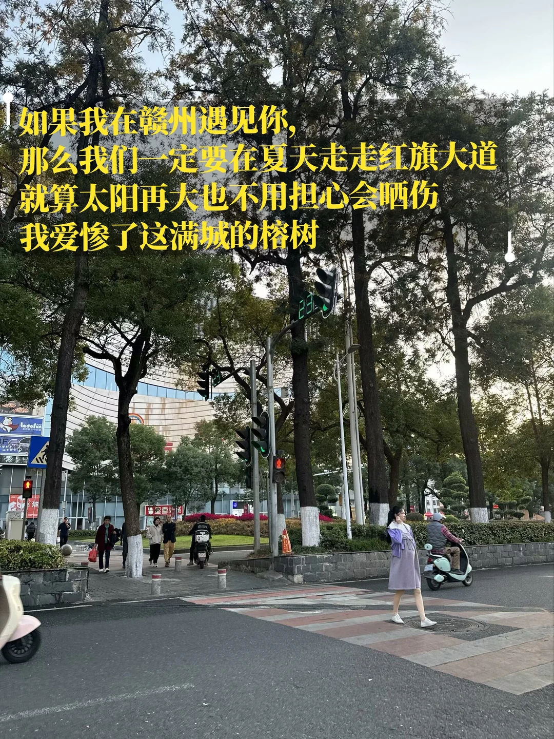 赣州我真的爱惨了你