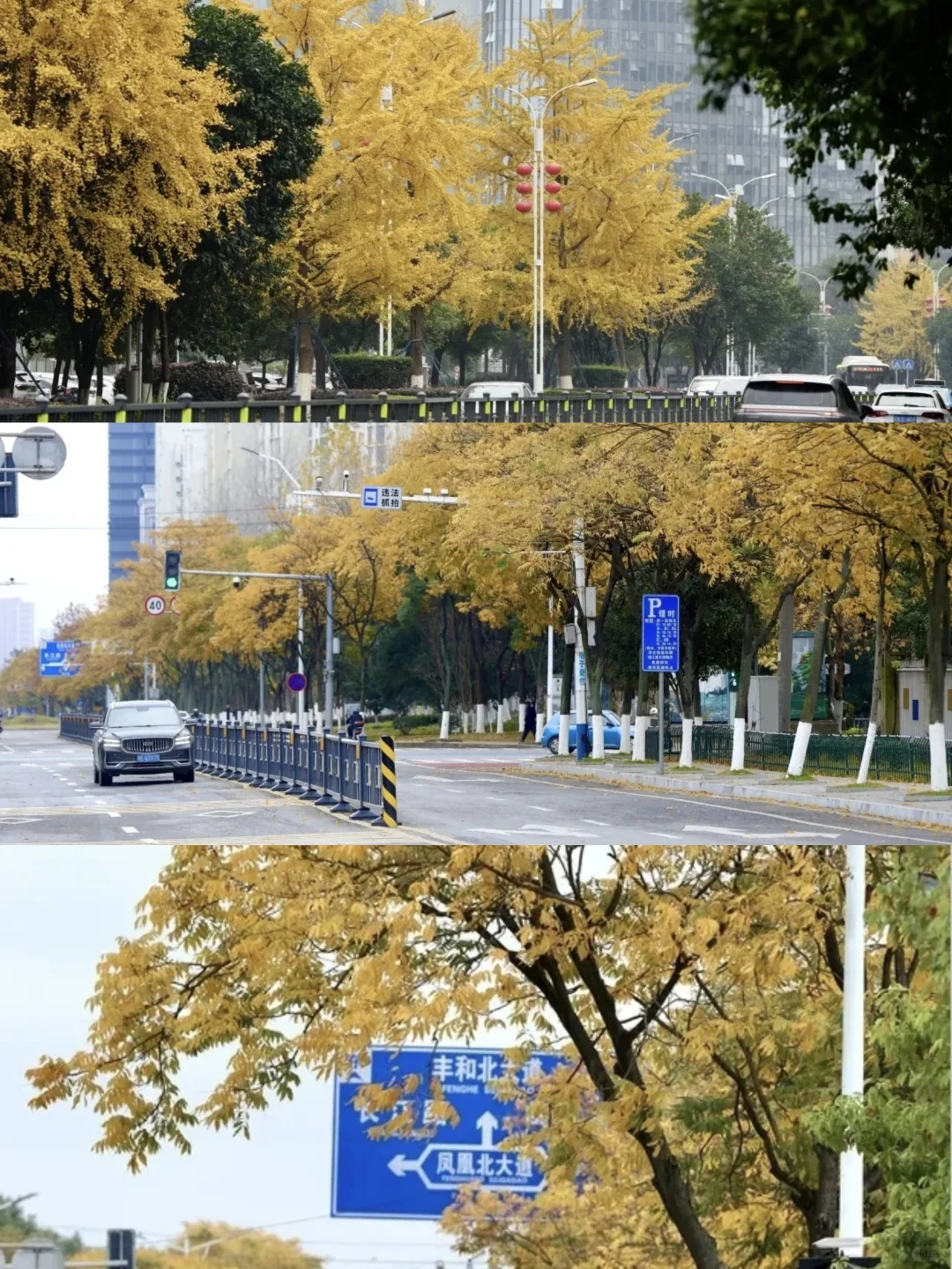 0%→100% 南昌心动进度条加载完毕👇