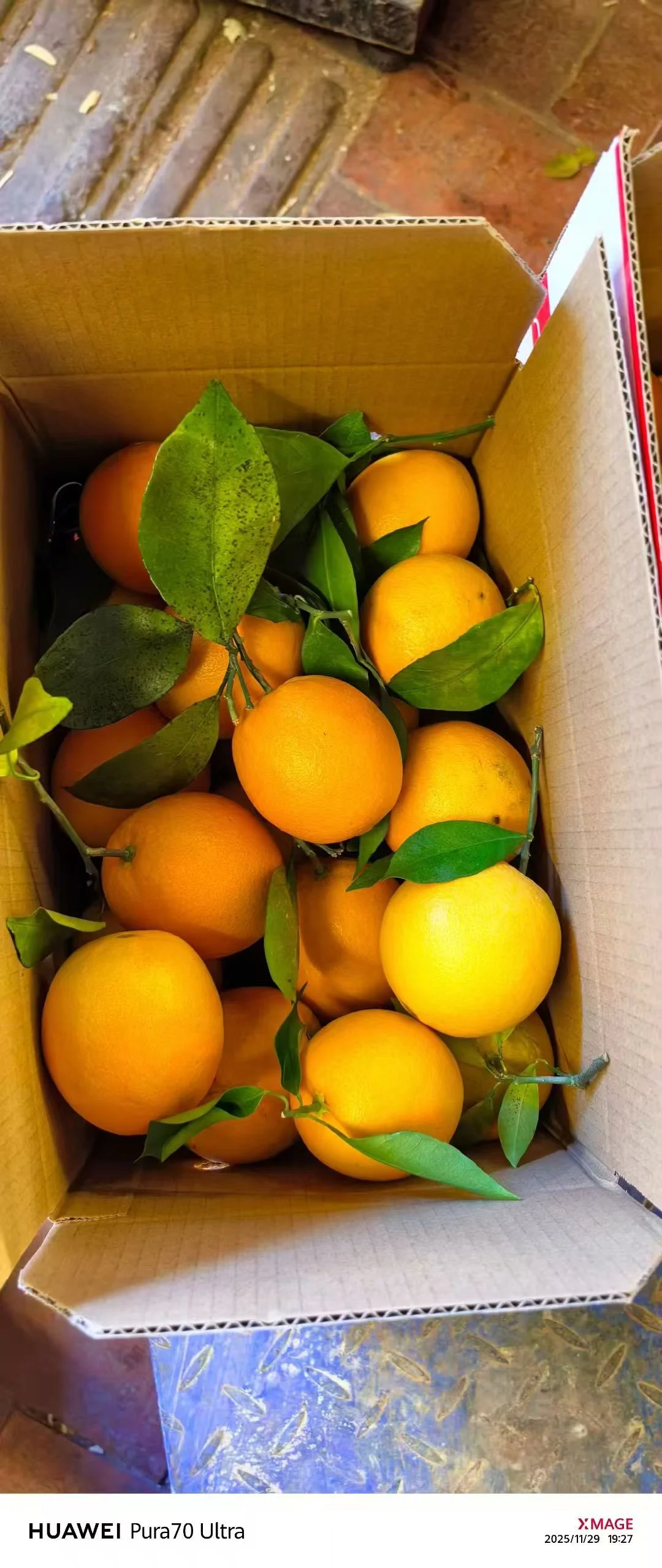 赣州脐橙，一口爆汁的甜蜜炸弹来袭！