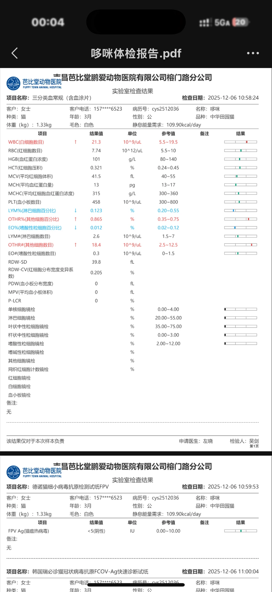 急!南昌猫咪找领养人!!