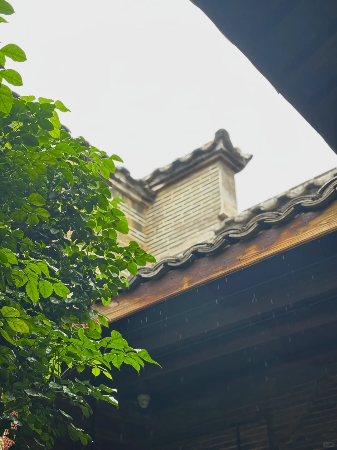 人均100不到｜江西赣州一天游攻略🥳🥳