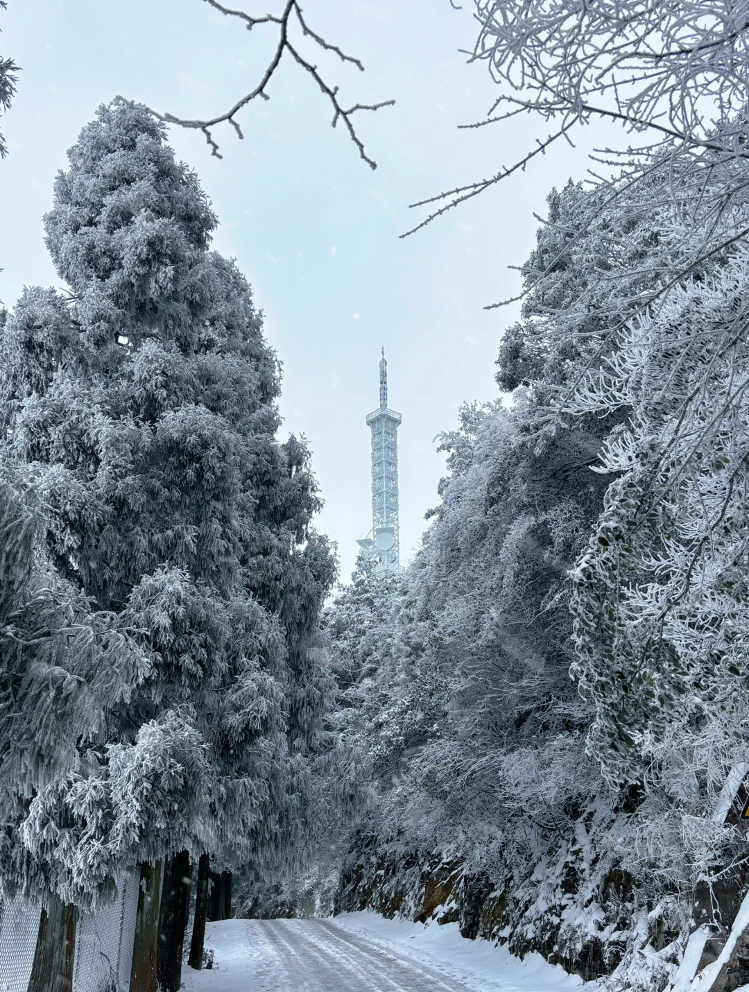 #峰山 #赣州峰山 #赣州下雪