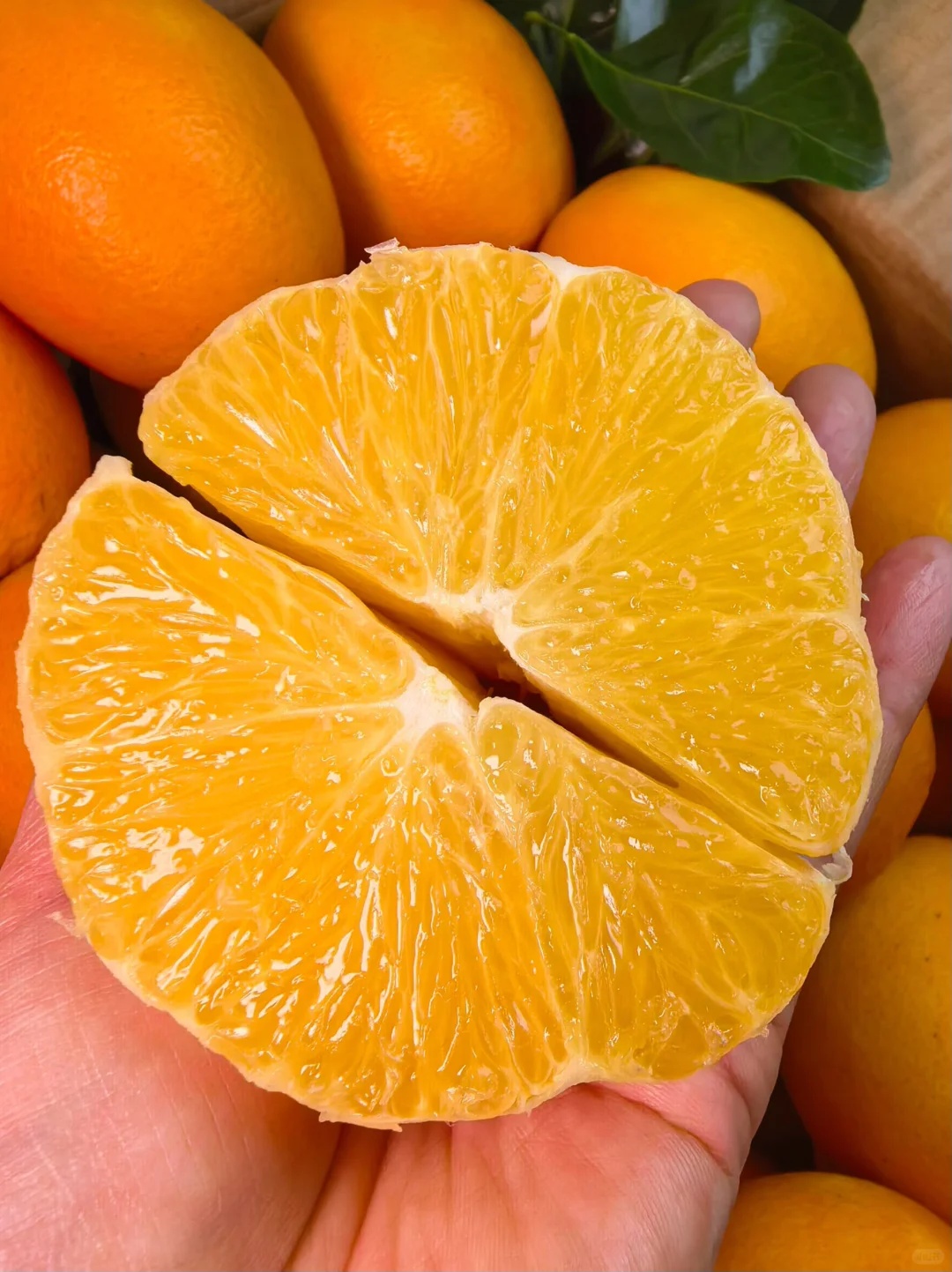 9r一箱！9r一箱！9r一箱！赣南脐橙