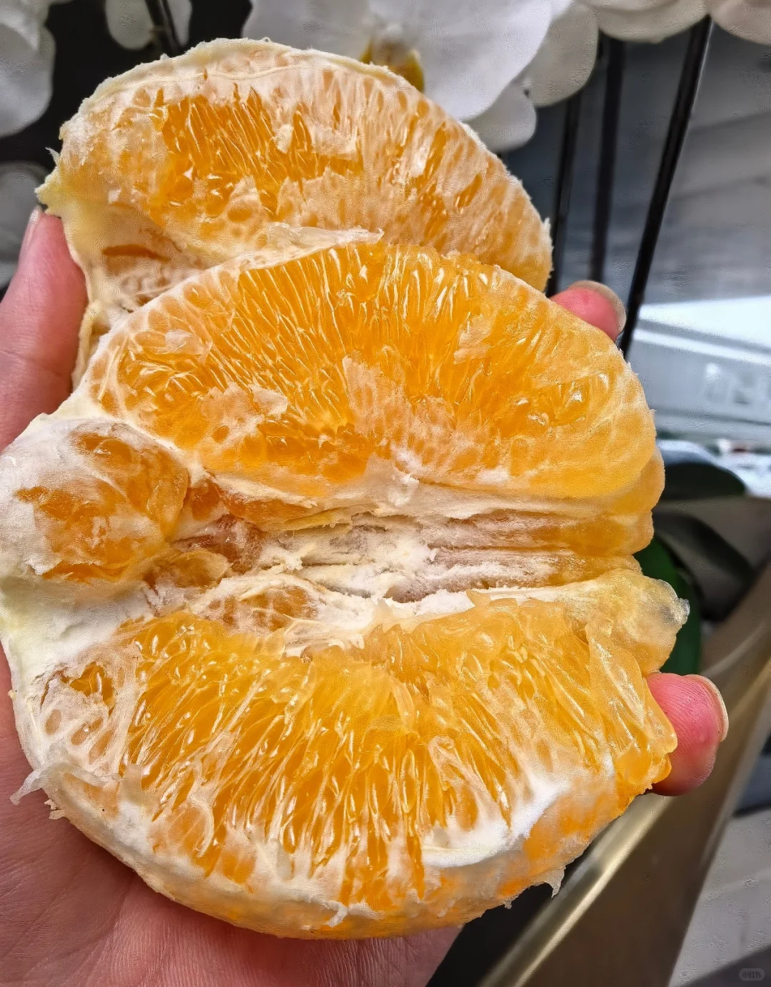 啊啊啊啊啊啊，终于吃上了‼️