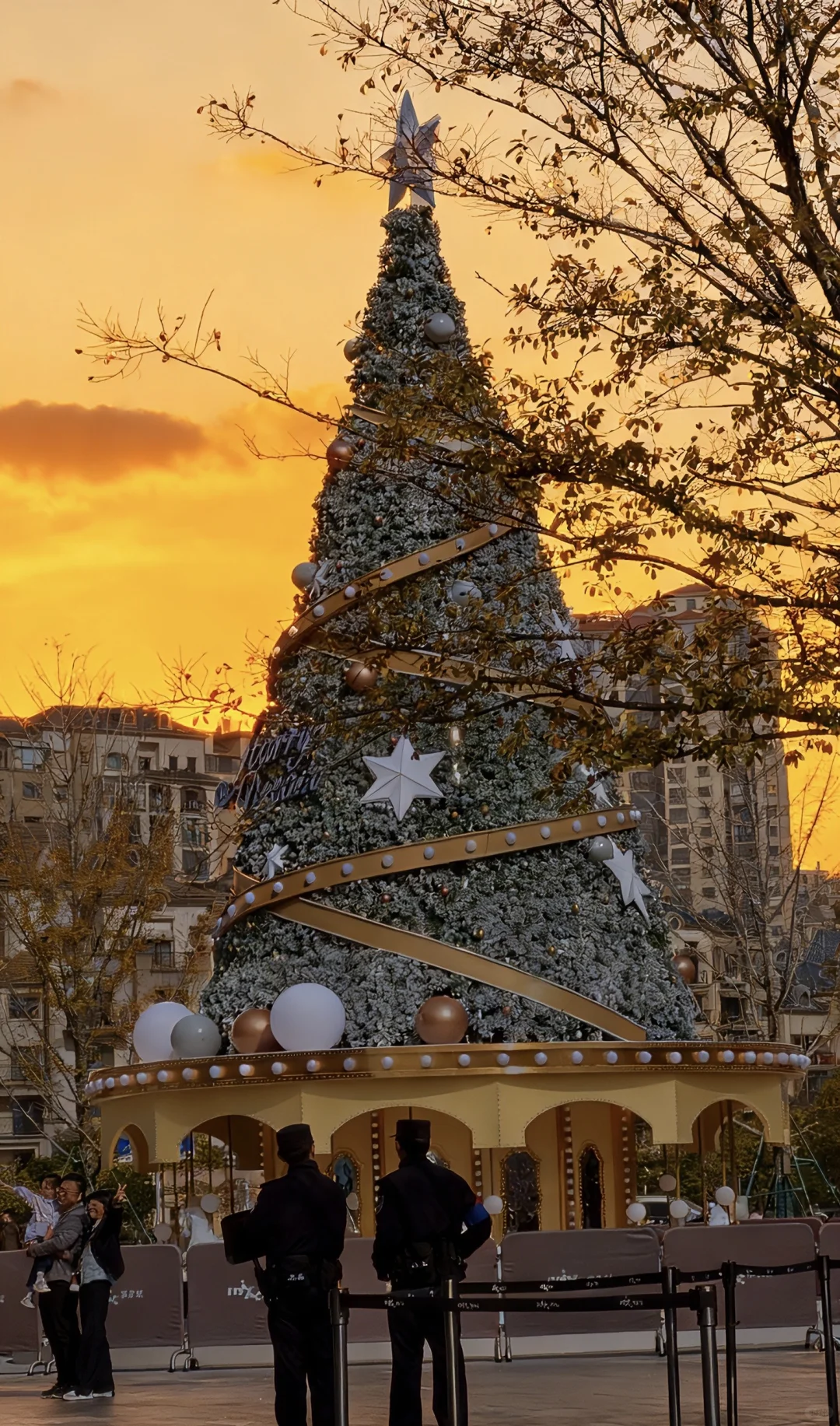 南昌的15米圣诞树🎄南昌的，南昌的，南昌的