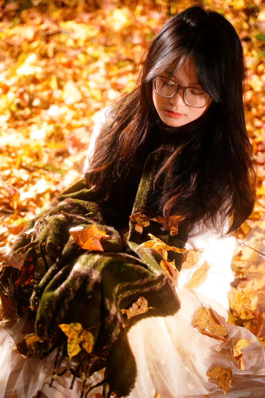 秋日氛围感再不拍，叶子就落光咯