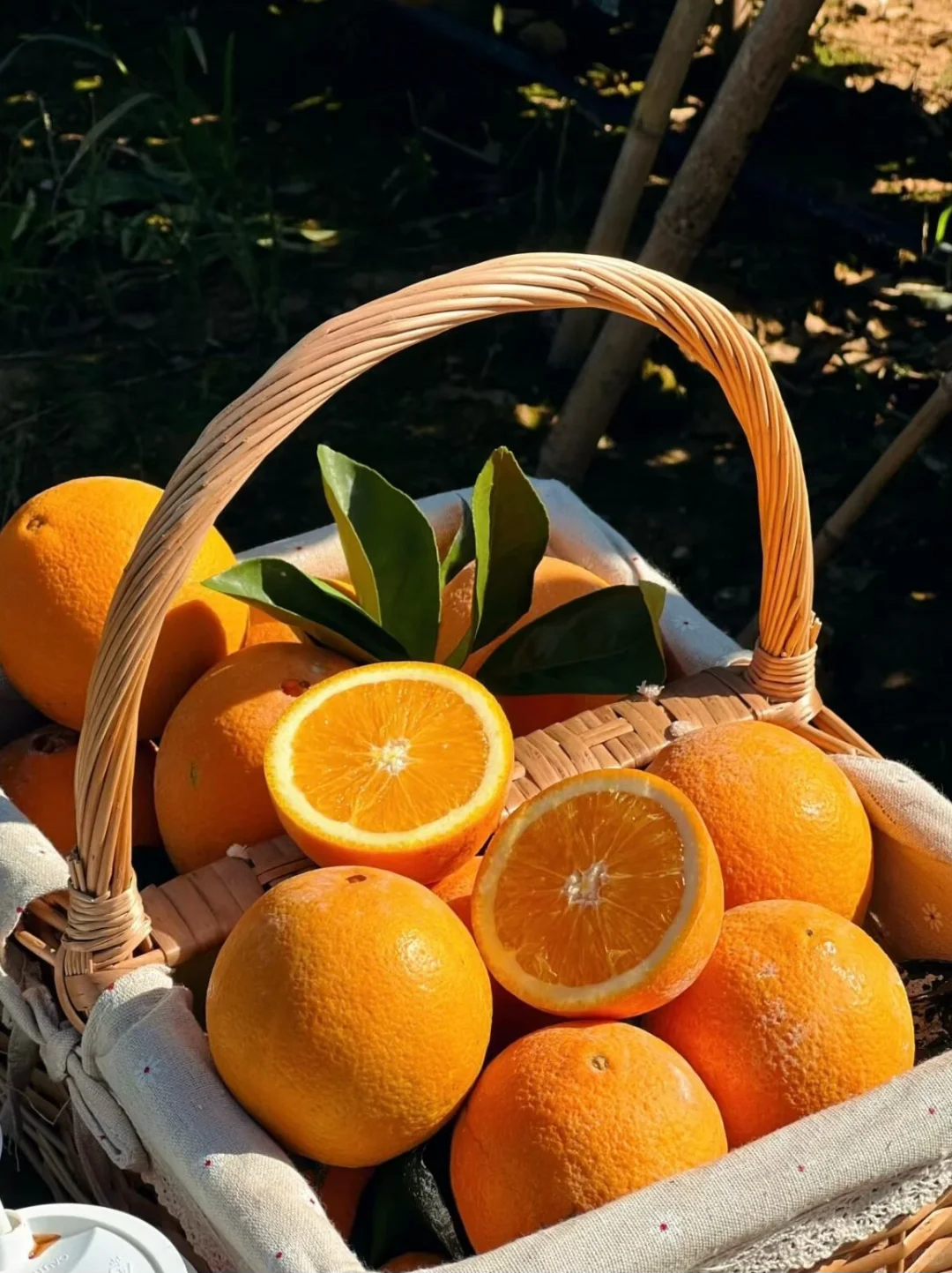 9r一箱！9r一箱！9r一箱！赣南脐橙