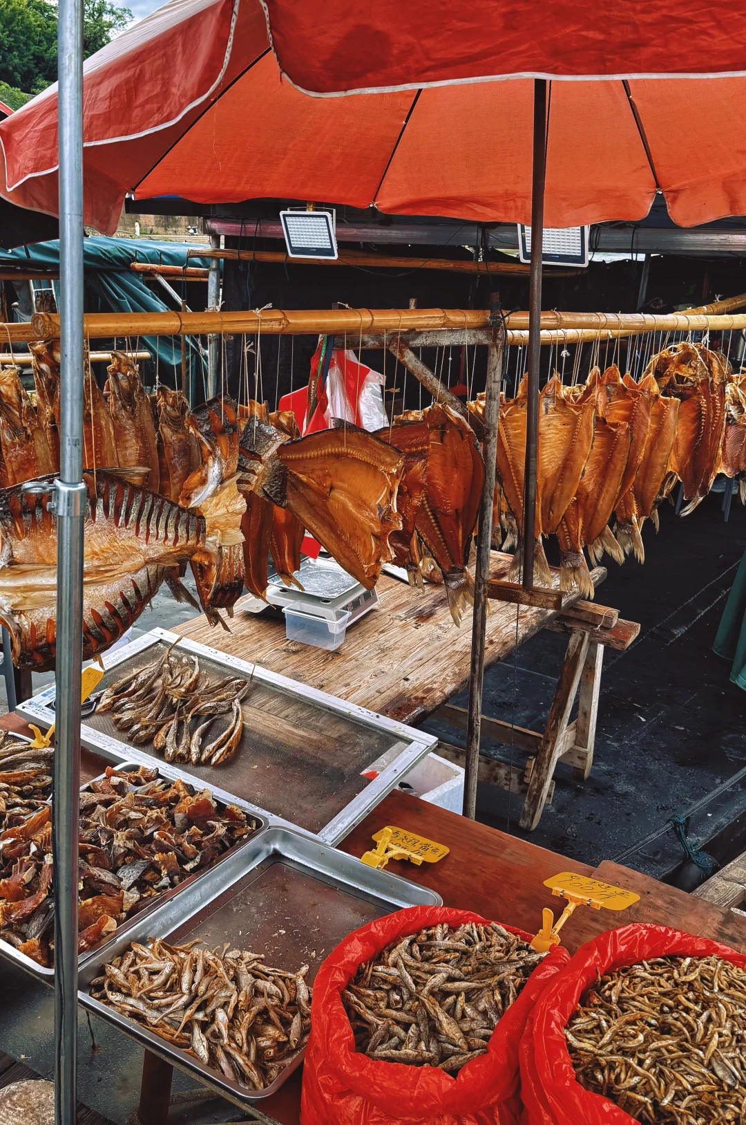 我来赣州“赣”饭了