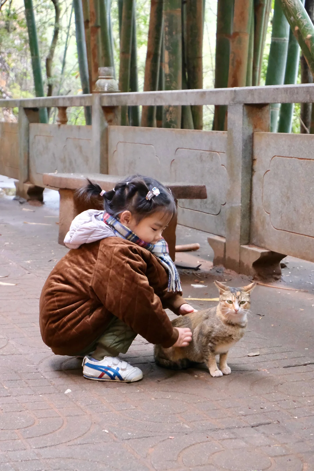 赣州通天岩｜江南第一石窟·丹霞秘境千年佛韵
