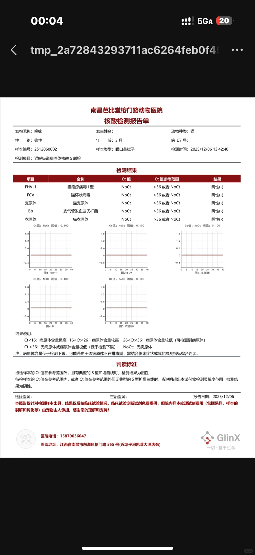 急!南昌猫咪找领养人!!