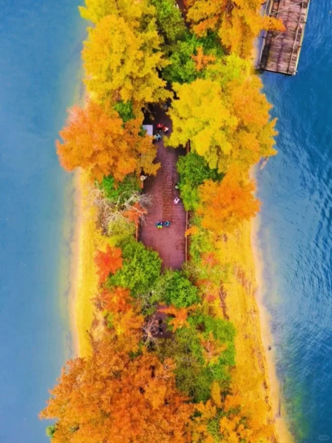 赣州｜我宣布，这里真的是赏秋天花板…