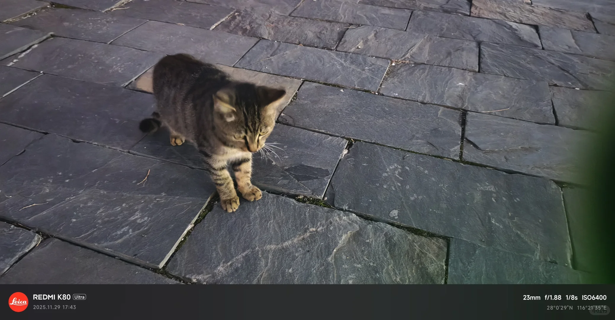 终于去抚州了！值得一来！