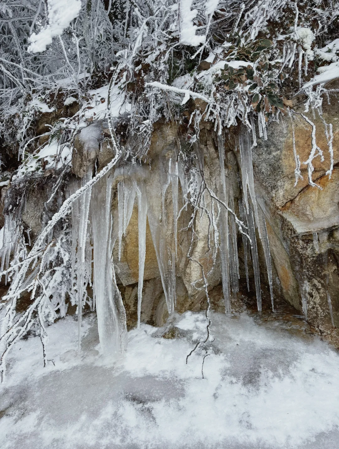 #峰山 #赣州峰山 #赣州下雪