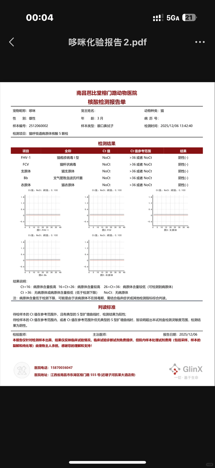急!南昌猫咪找领养人!!