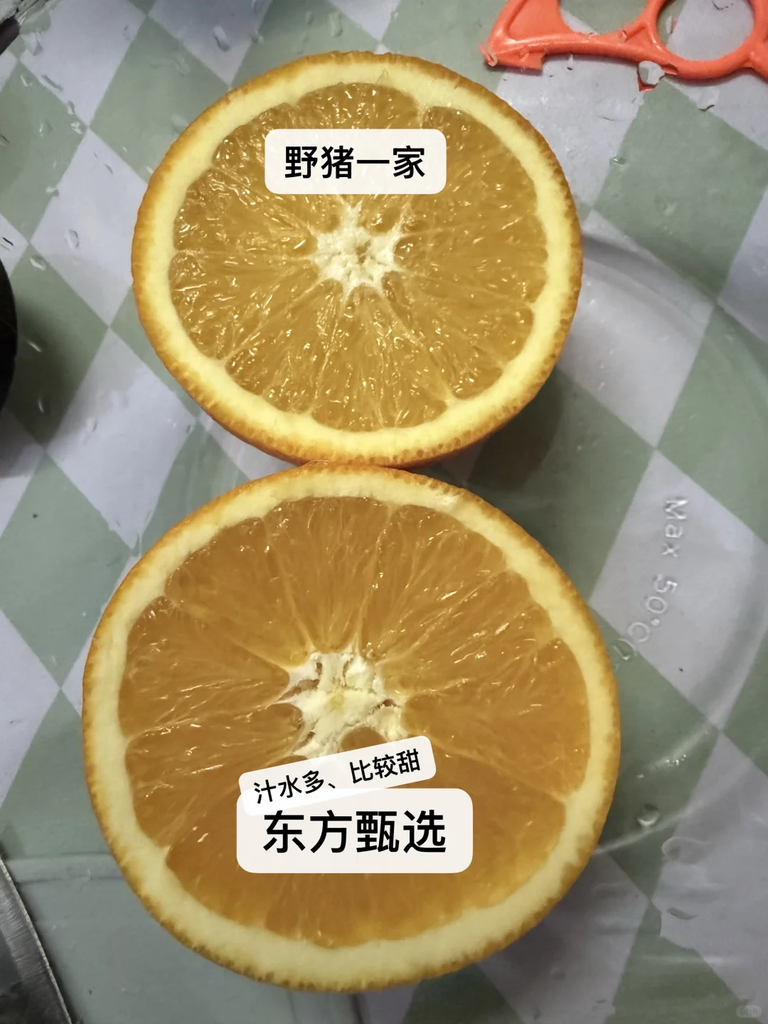 野猪一家🆚东方甄选赣南脐橙🤔