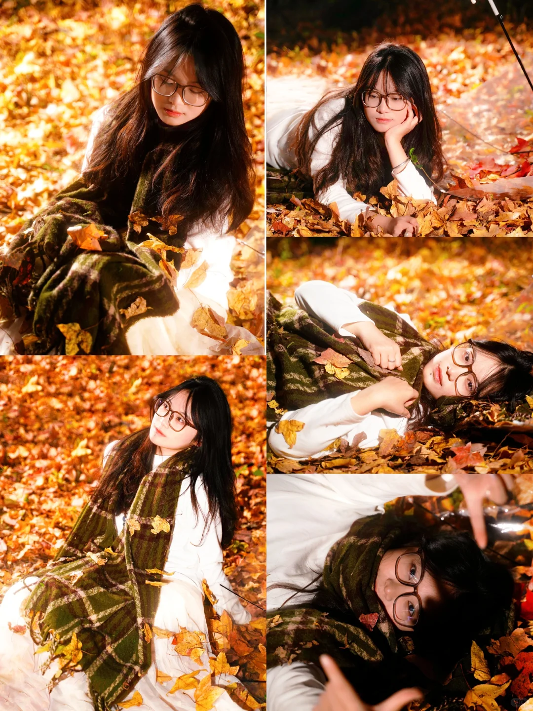 秋日氛围感再不拍，叶子就落光咯