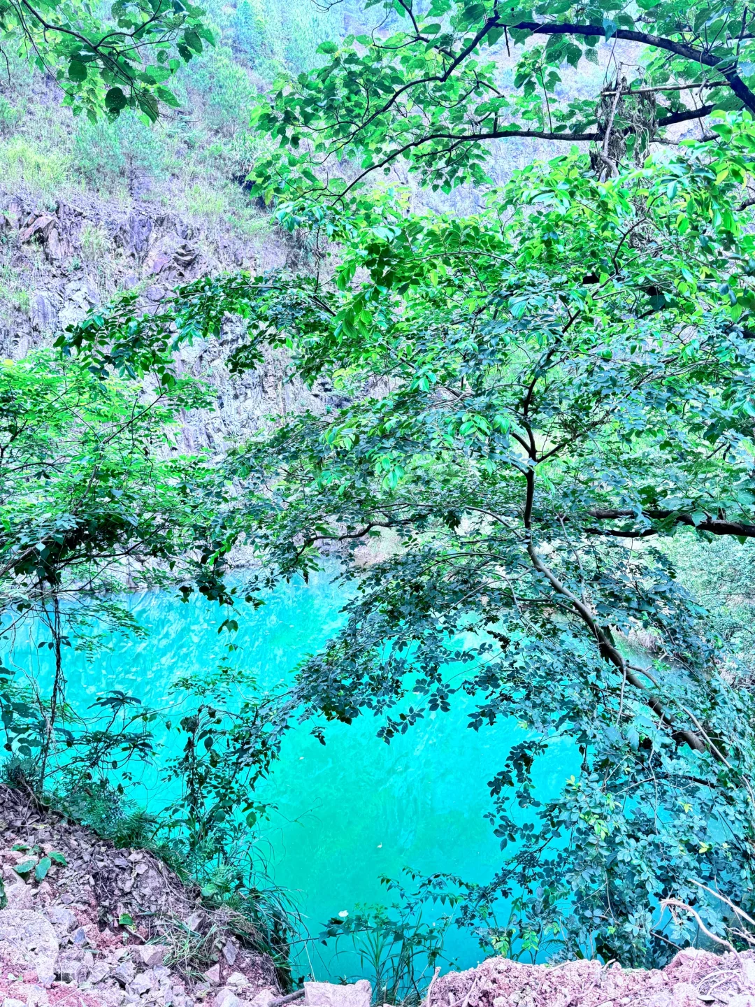 探险版‼️赣州竟藏着个“小九寨沟”🩵