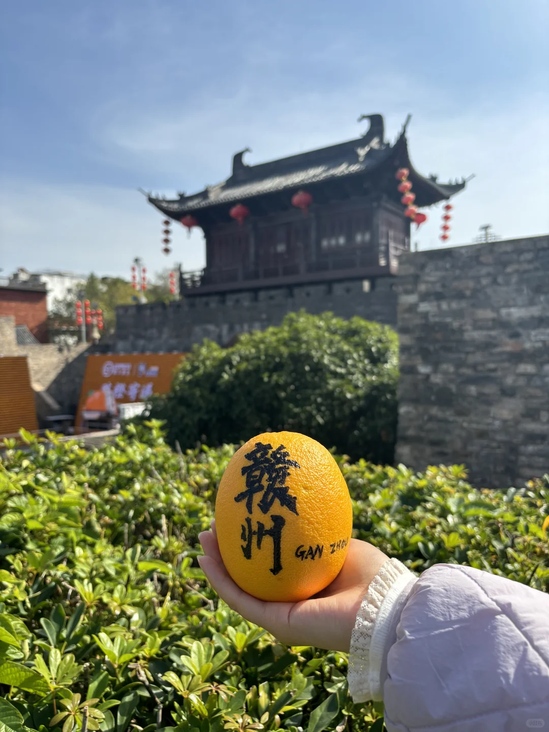 赣州宋城出【限定】脐橙皮肤🍊啦，满城🍊香