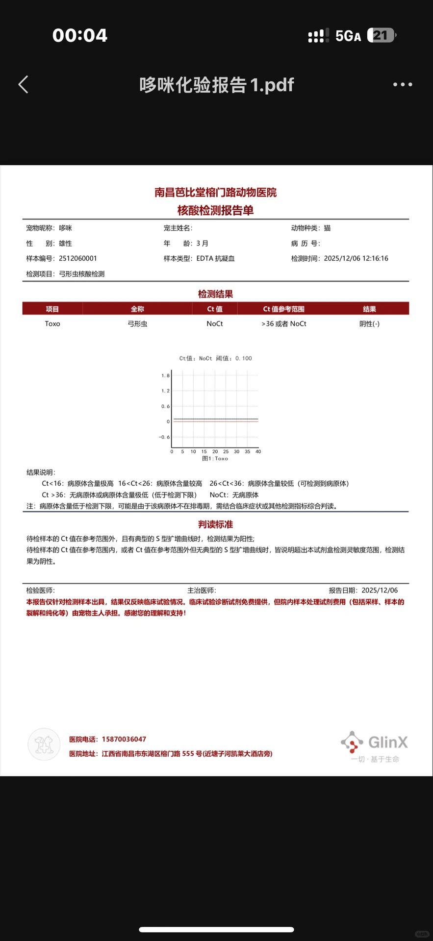 急!南昌猫咪找领养人!!