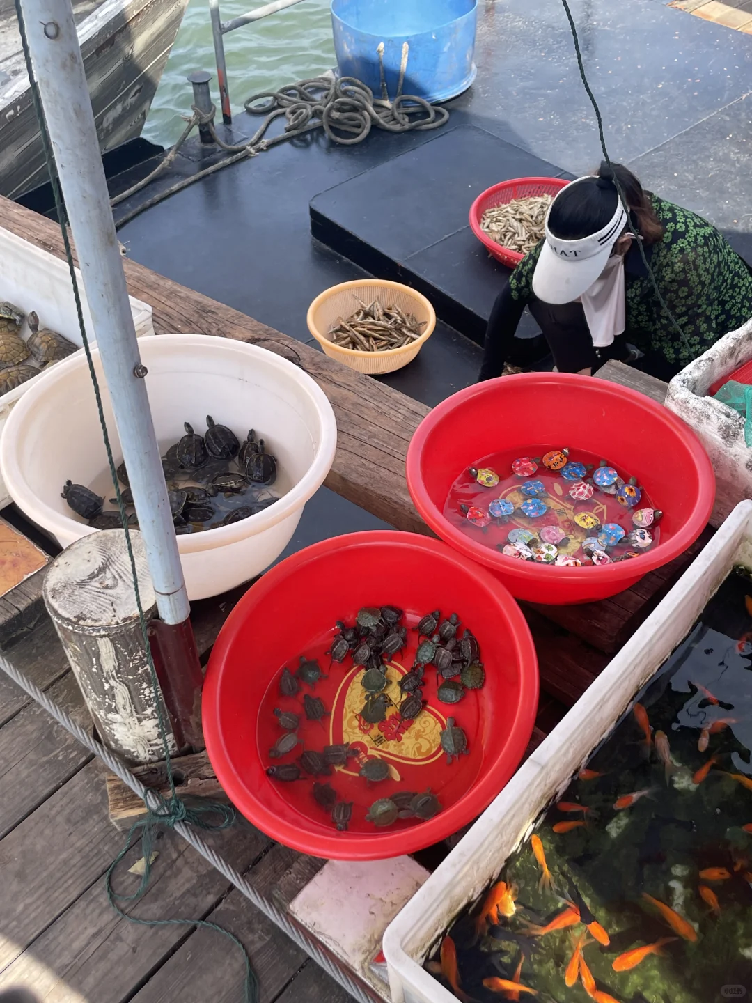 一人游之江西赣州