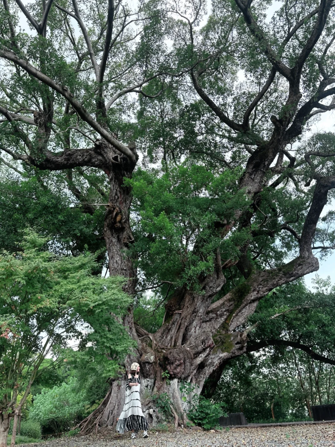 赣州的这里太好逛～发现冷门的赣州景点
