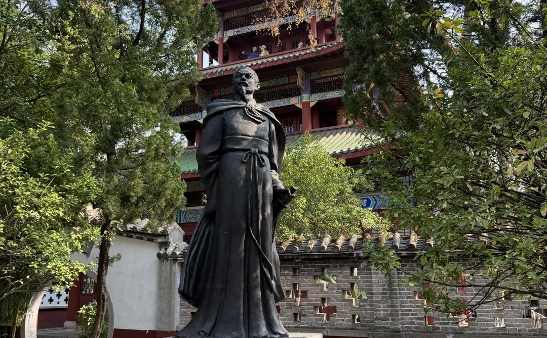 赣南脐橙🍊🍊赣州黄金✈️✈️