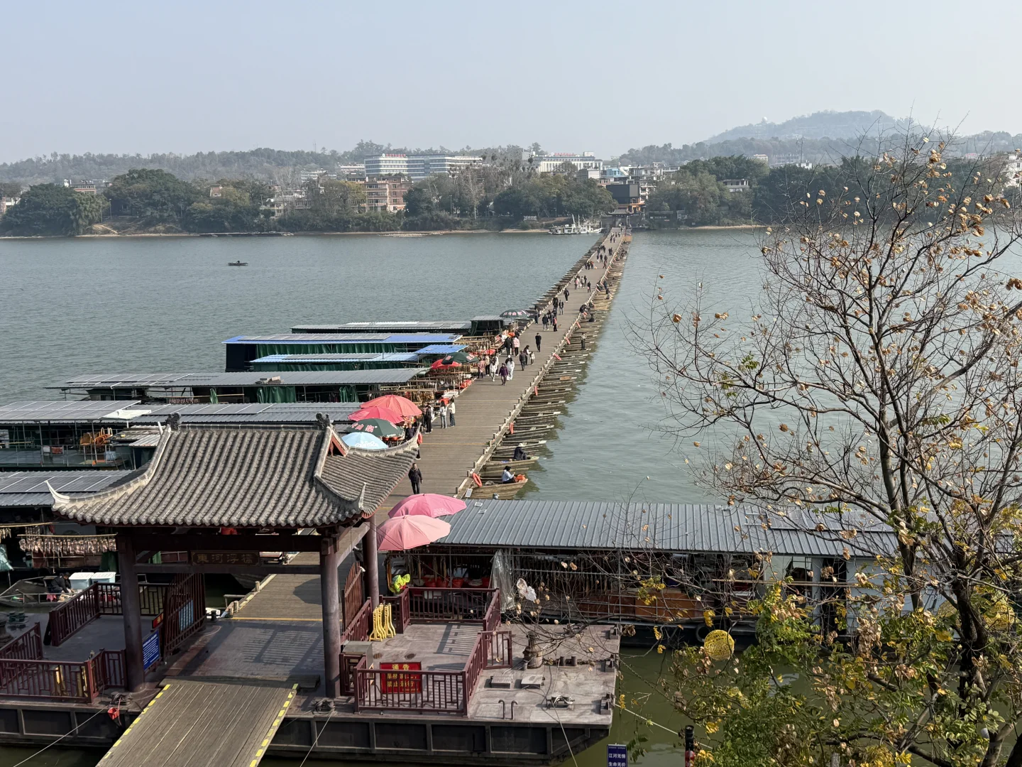 赣南脐橙🍊🍊赣州黄金✈️✈️