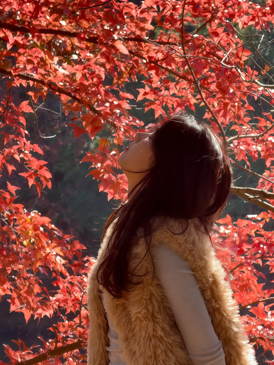 周末逃离计划｜赣州藏着一个赏秋宝藏地🍁