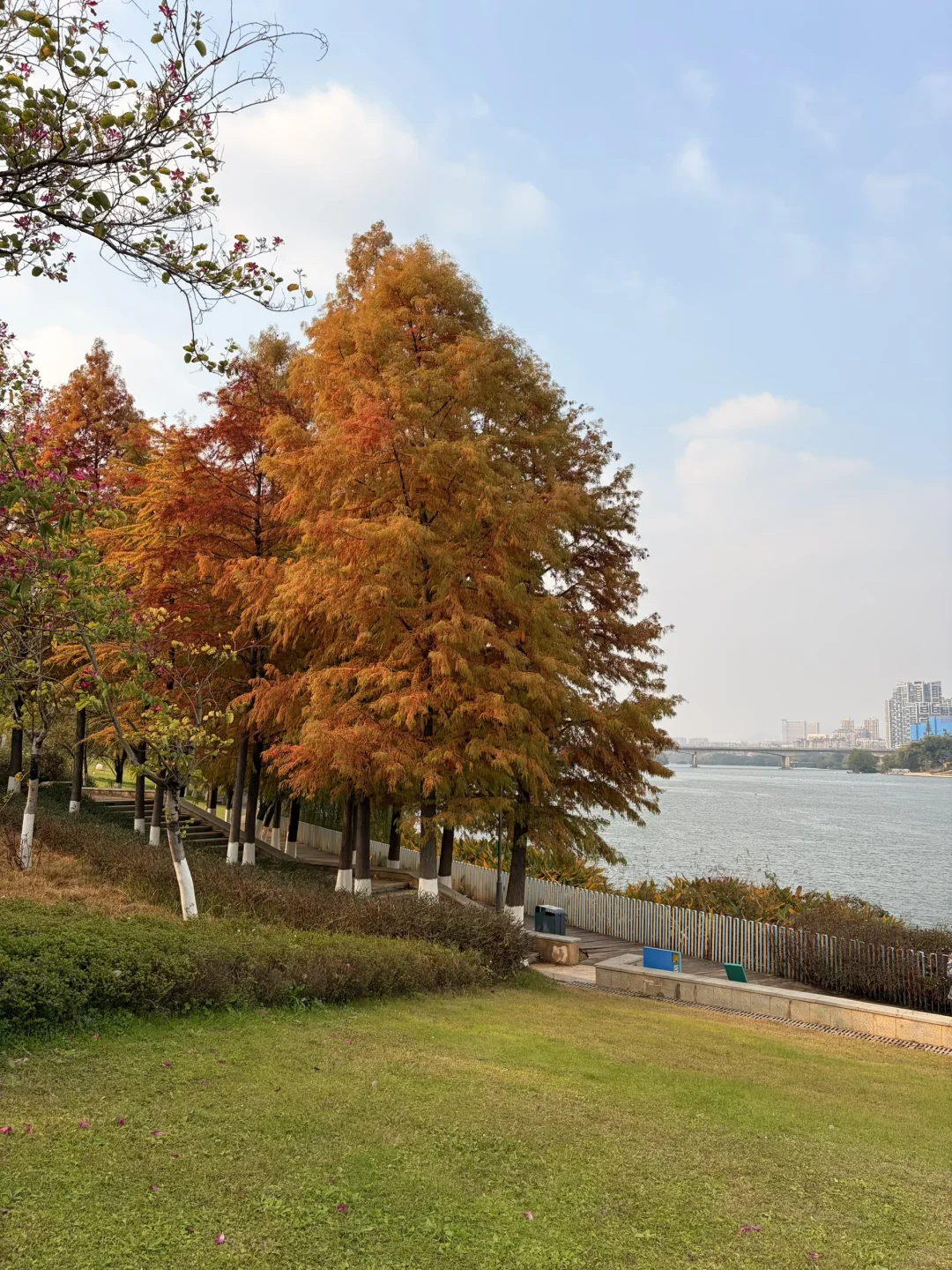 赣州| 滨江公园 绝美