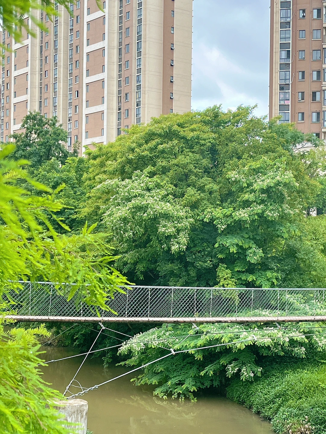 在赣州！！去过无数次的公园