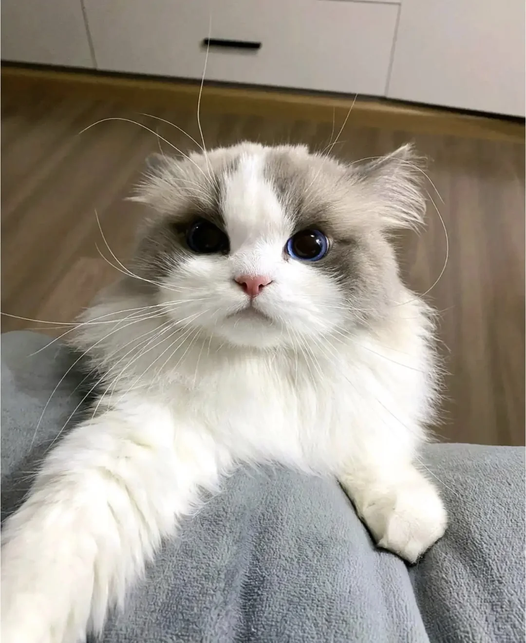 坐标抚州 找个饭搭子