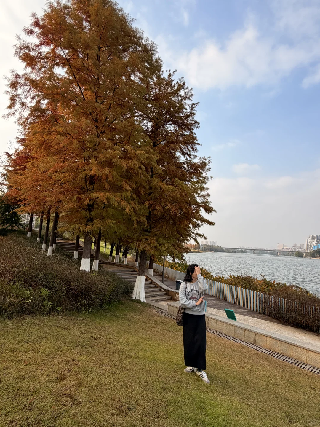 赣州| 滨江公园 绝美