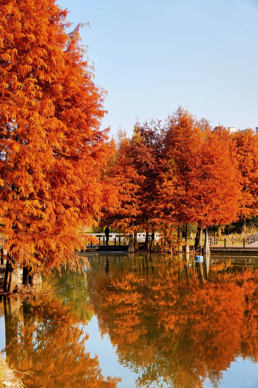 12.10实况！抚州三翁花园杀疯啦！！