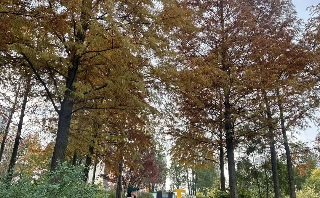 赣州| 滨江公园 绝美