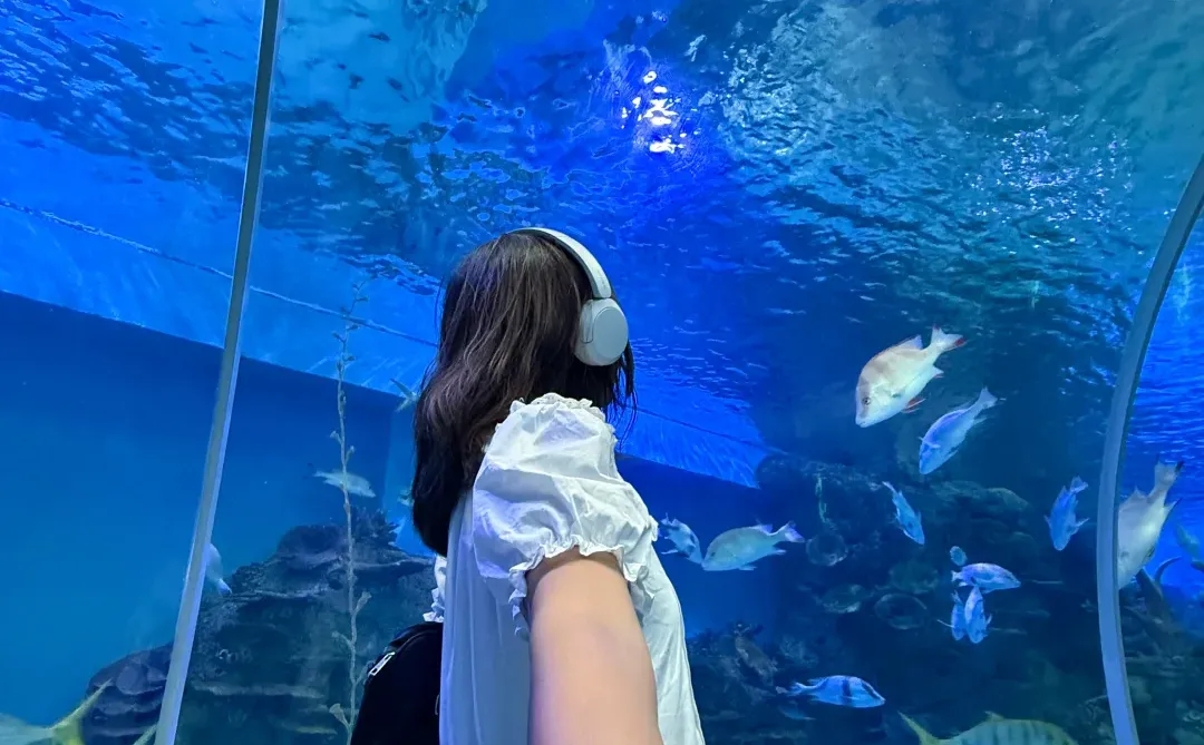 【江西·赣州】被严重低估的宝藏小城！！