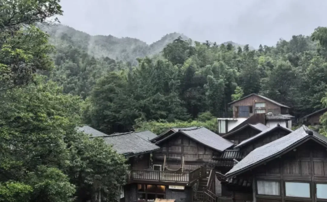 总要来趟南昌梅岭吧