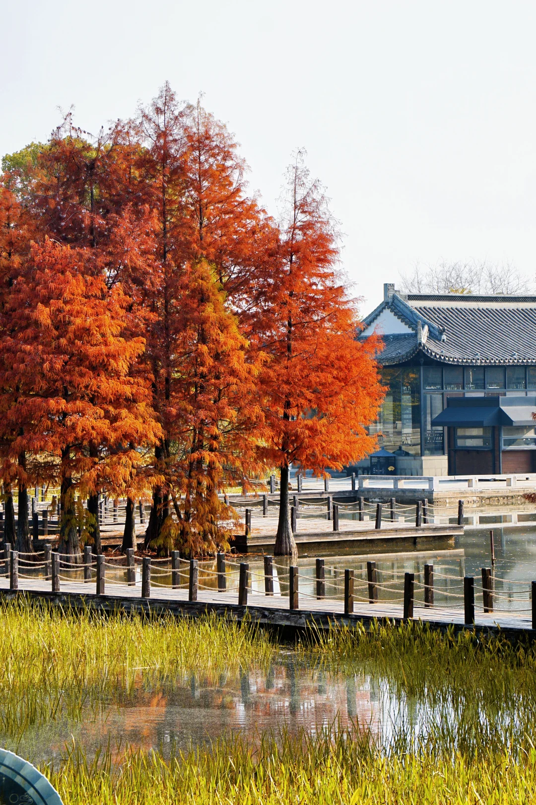 12.10实况！抚州三翁花园杀疯啦！！