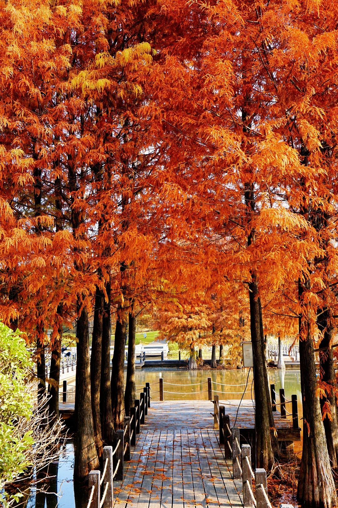 12.10实况！抚州三翁花园杀疯啦！！