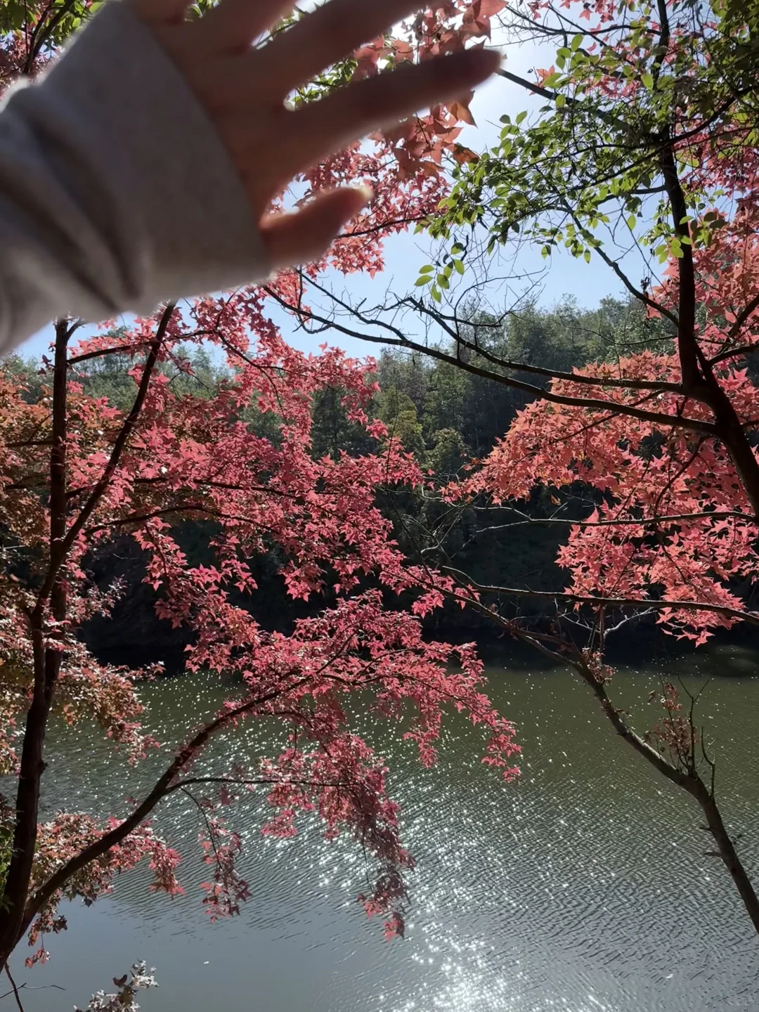 周末逃离计划｜赣州藏着一个赏秋宝藏地🍁